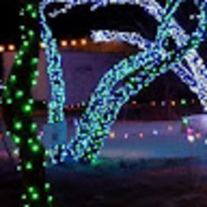 Meet your Posher, Jade